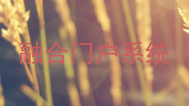 融合门户系统