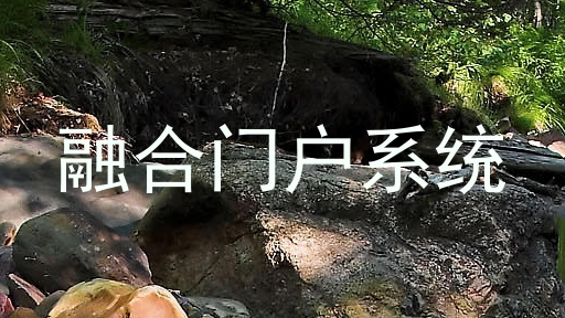 融合门户系统