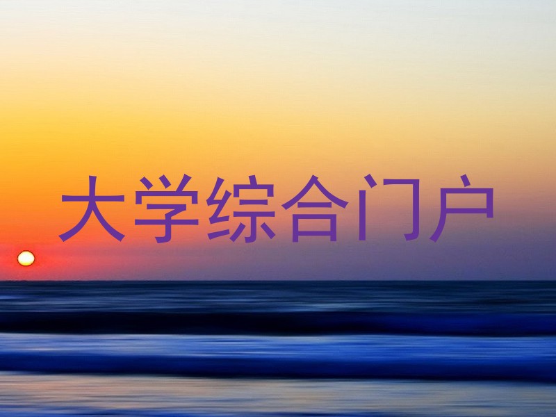 大学综合门户