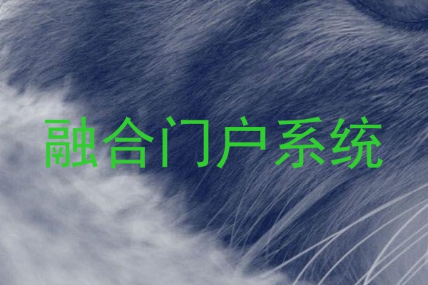 融合门户系统