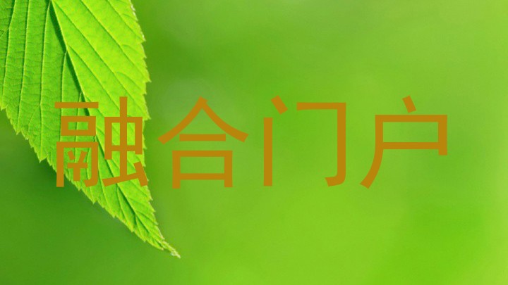 融合门户