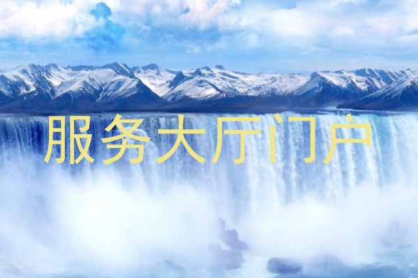 服务大厅门户
