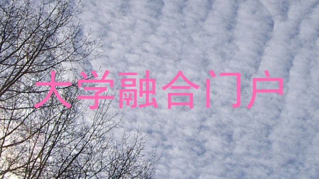 大学融合门户