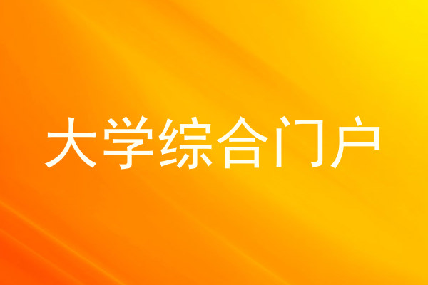 大学综合门户