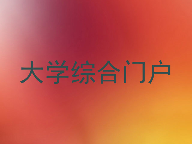 大学综合门户