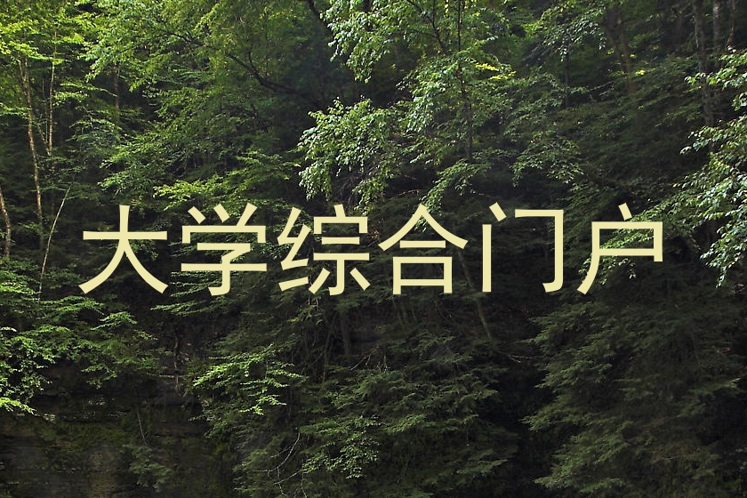 大学综合门户