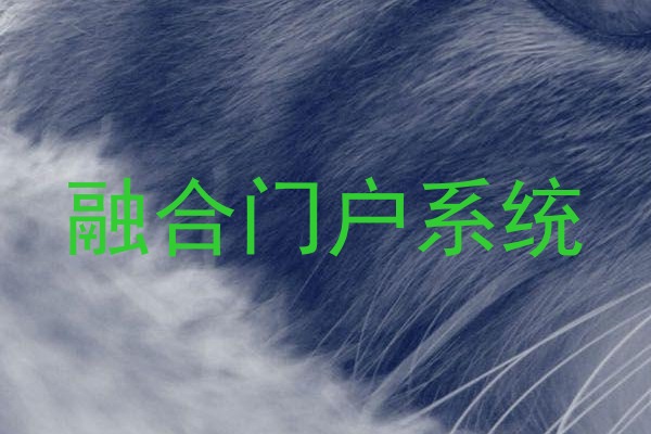 融合门户系统