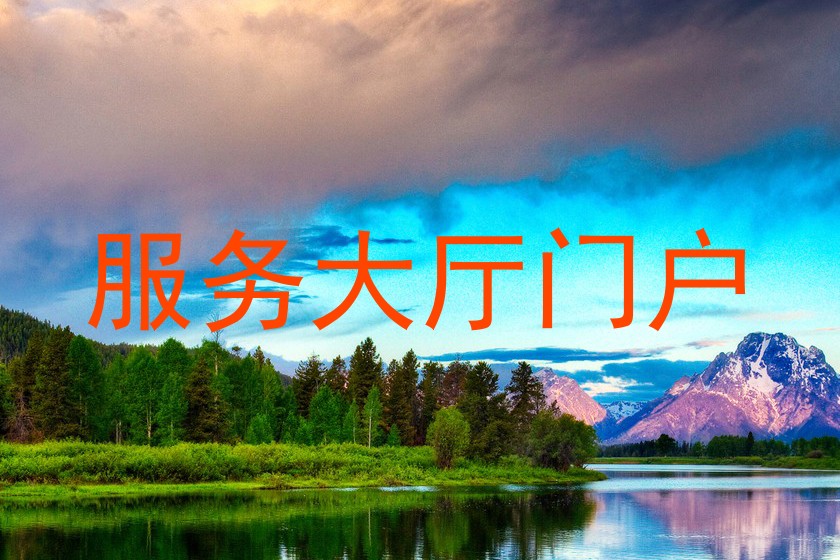服务大厅门户