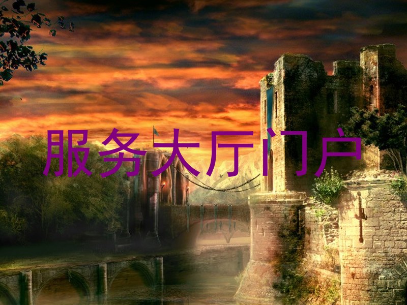服务大厅门户
