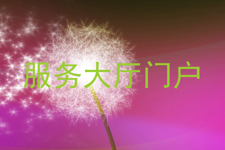 服务大厅门户