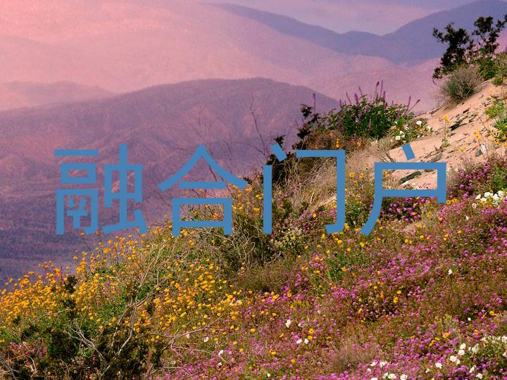 融合门户