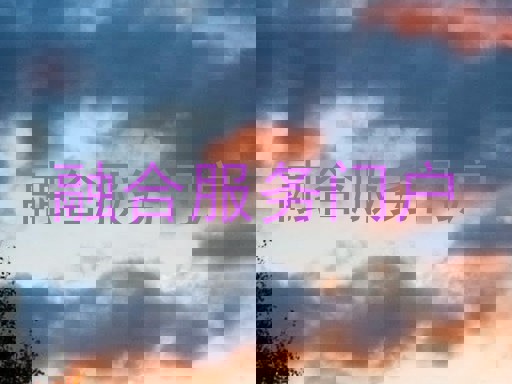 融合服务门户