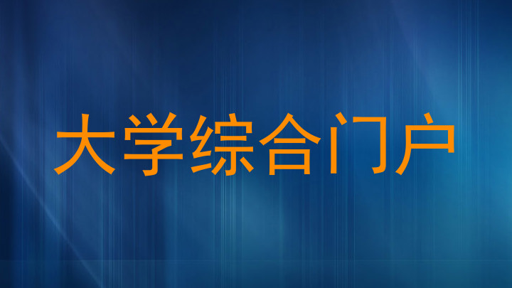 大学综合门户