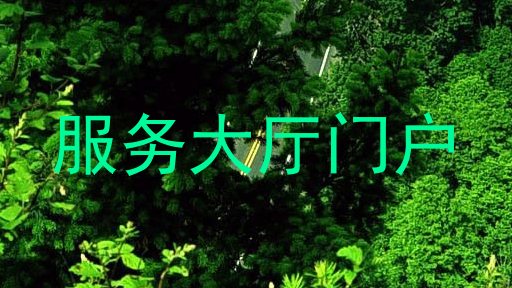 服务大厅门户
