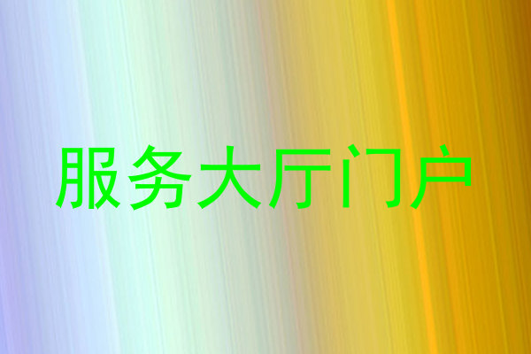 服务大厅门户