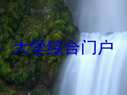大学综合门户