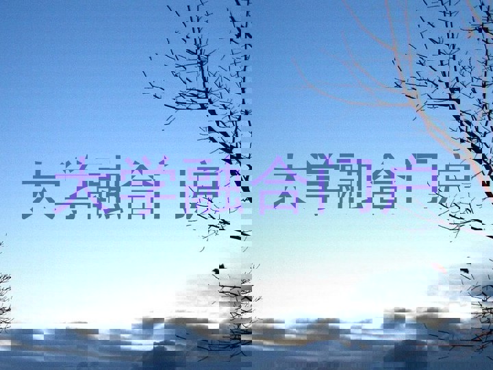 大学融合门户