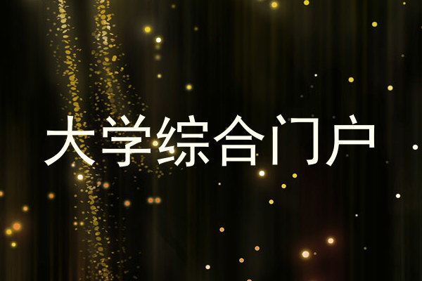 大学综合门户