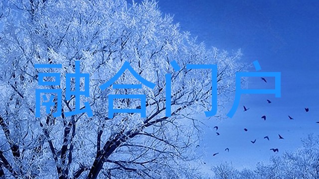 融合门户