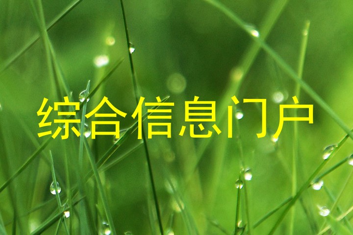 综合信息门户