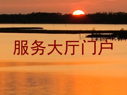 服务大厅门户