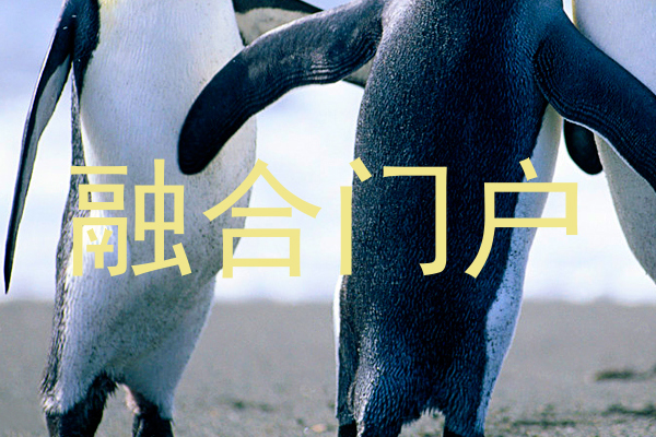 融合门户