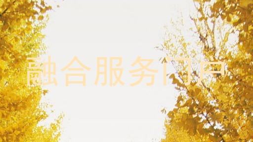 融合服务门户