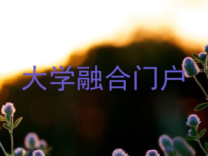 大学融合门户