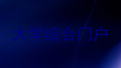 大学综合门户