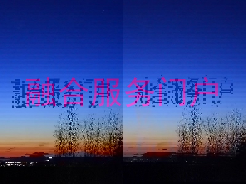 融合服务门户