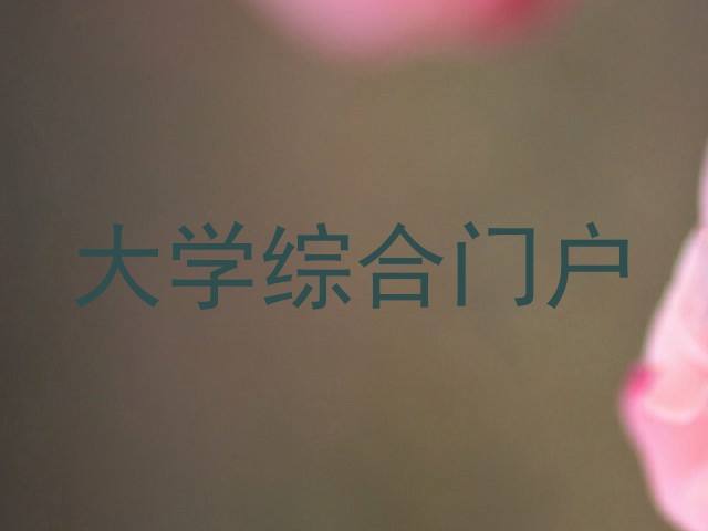 大学综合门户