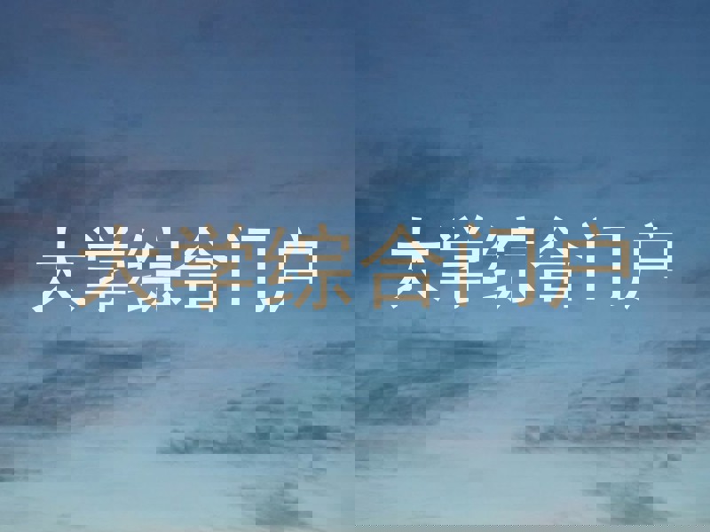 大学综合门户