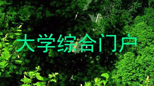 大学综合门户