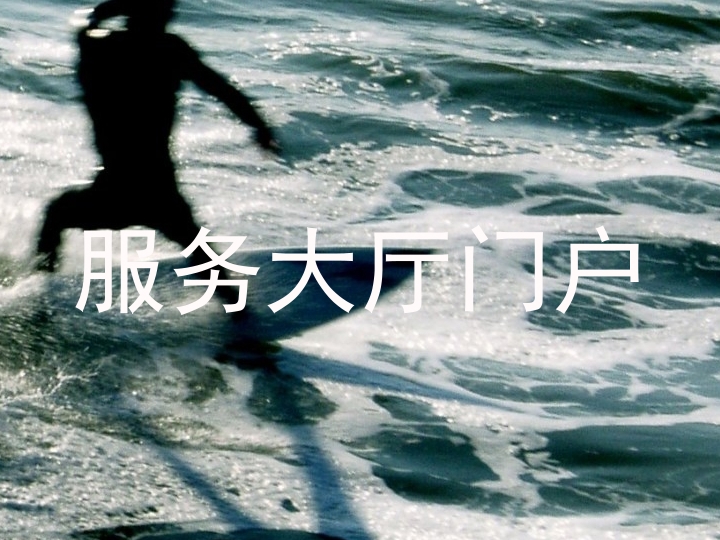 服务大厅门户