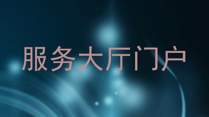 服务大厅门户