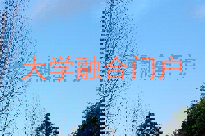 大学融合门户