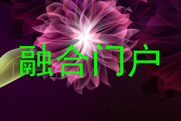融合门户