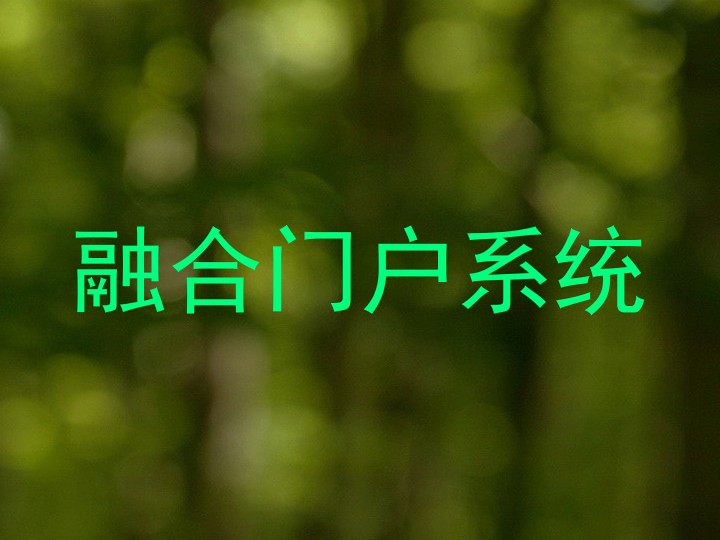 融合门户系统