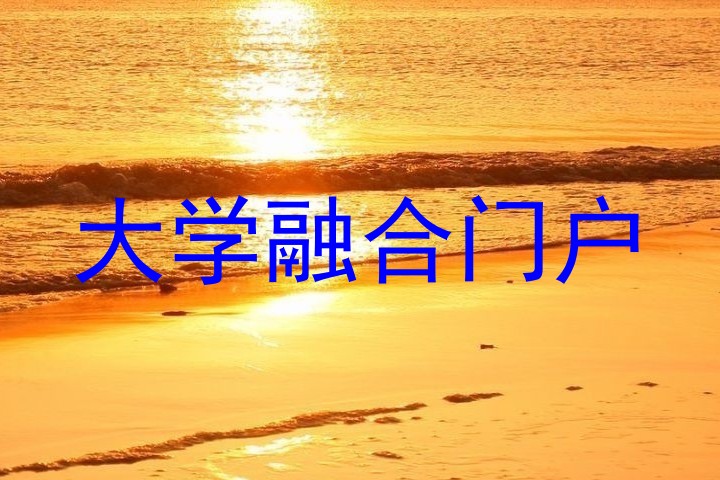 大学融合门户