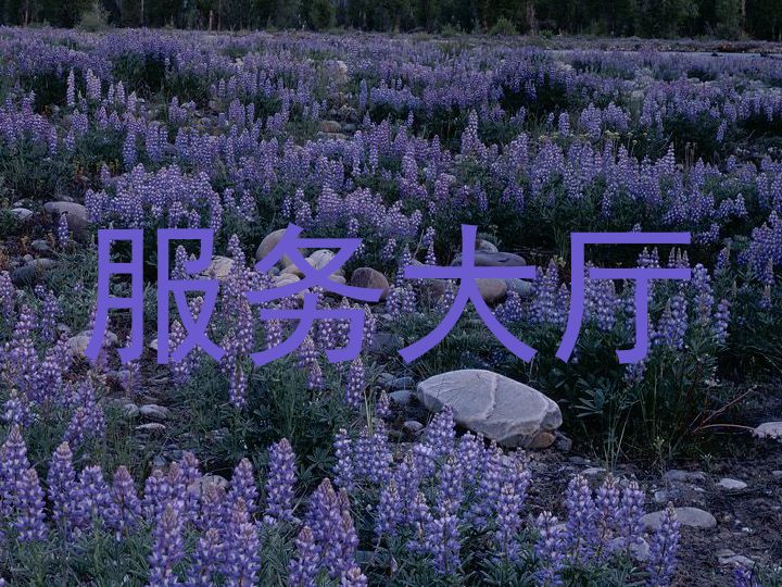 服务大厅