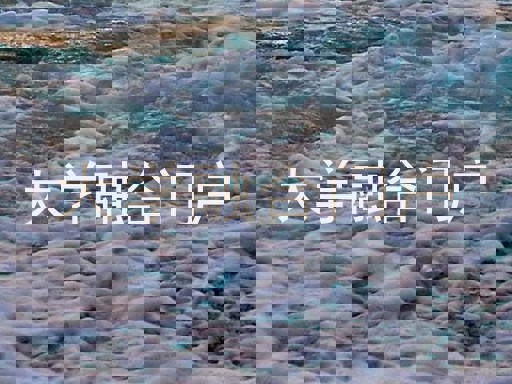 大学融合门户