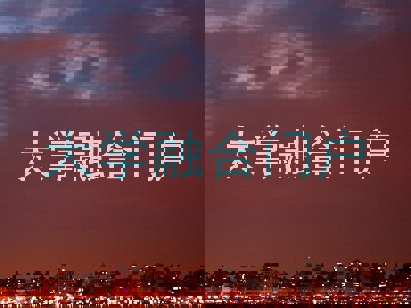 大学融合门户