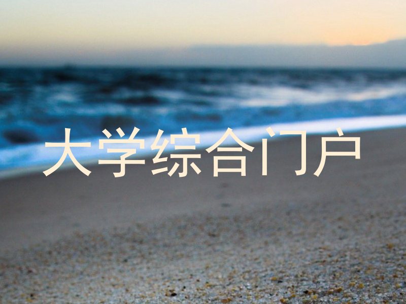 大学综合门户
