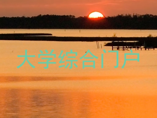 大学综合门户