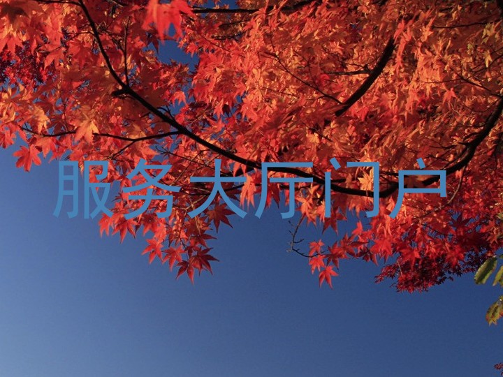 服务大厅门户