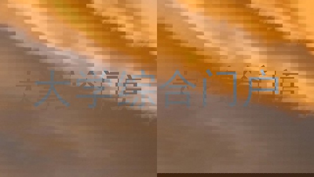 大学综合门户