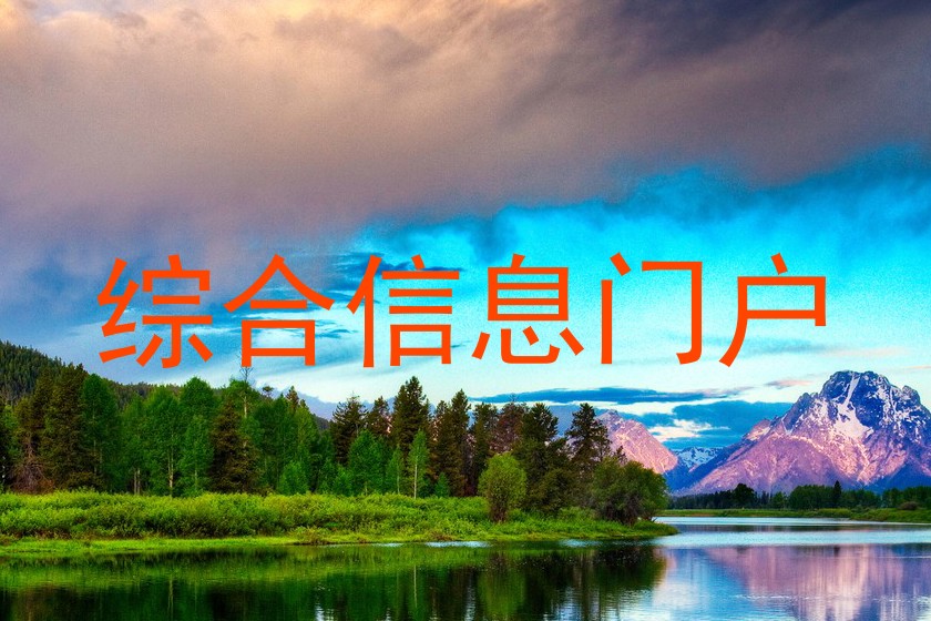 综合信息门户