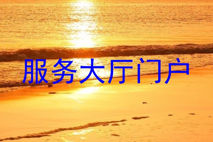 服务大厅门户