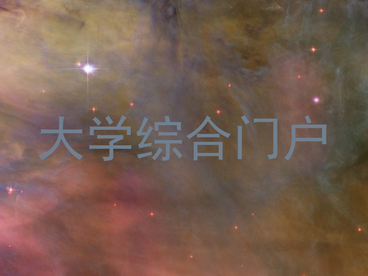 大学综合门户
