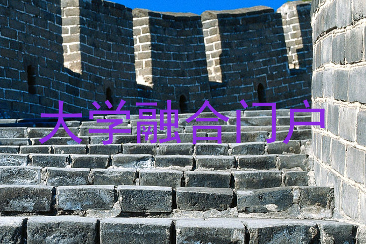 大学融合门户
